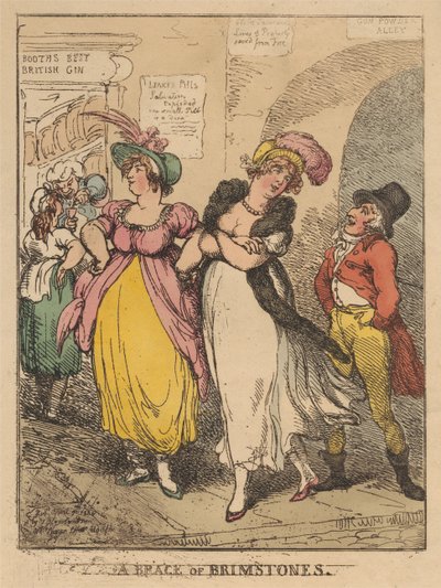Kaksi sitruunakärpästä tekijältä Thomas Rowlandson
