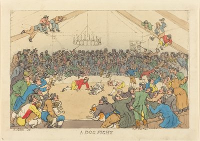 Koirataistelu tekijältä Thomas Rowlandson