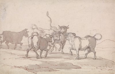 Viiden härän ryhmä, joka on juuri aloittamassa taistelun tekijältä Thomas Rowlandson