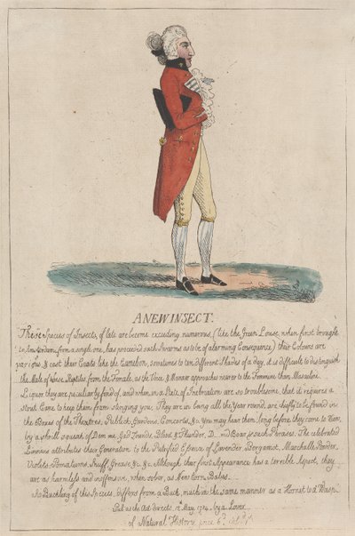 Uusi hyönteinen tekijältä Thomas Rowlandson