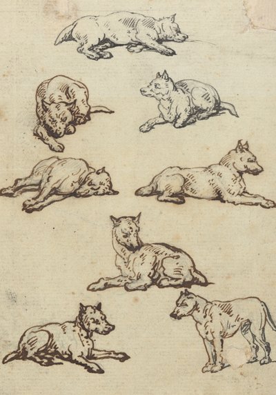 Albumin piirros tekijältä Thomas Rowlandson