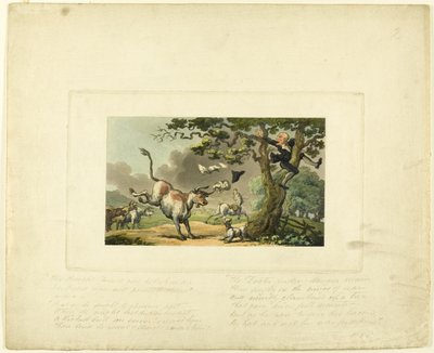 Tohtorin syntaksi, jota härkä ajaa, The Tour of Doctor Syntaxista tekijältä Thomas Rowlandson