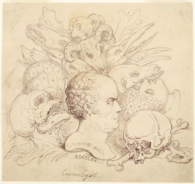 F. Josephus Gall, kranologi tekijältä Thomas Rowlandson