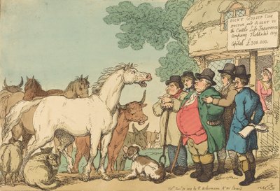 Insurable Cattle, julkaistu 1809. tekijältä Thomas Rowlandson