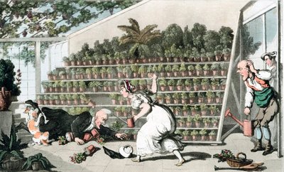 Epäonni tulppaanisalissa, n. 1816 tekijältä Thomas Rowlandson