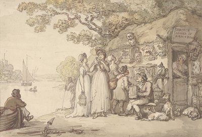Pidcock, lintujen ja villieläinten kauppias tekijältä Thomas Rowlandson