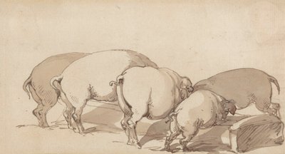 Pigs at a Trough, n. 1790 (grafiitti kynällä ja musteella ja ruskea pesu paperilla) tekijältä Thomas Rowlandson