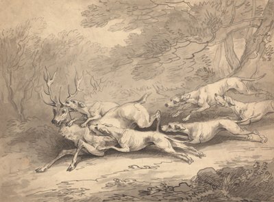 Koiralauma kaatoi hirven tekijältä Thomas Rowlandson