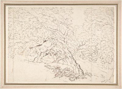 Puiden tutkimus tekijältä Thomas Rowlandson