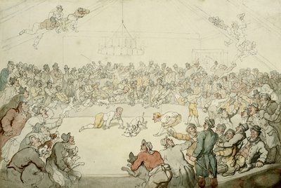 Westminster Pitt, 1798 tekijältä Thomas Rowlandson