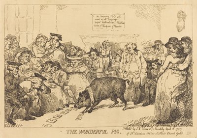 Ihana sika tekijältä Thomas Rowlandson