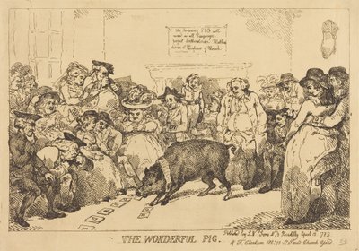 Ihmeellinen sika tekijältä Thomas Rowlandson