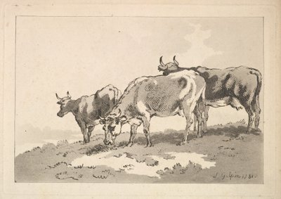 Kolme lehmää seisoo pellolla, 1784-87. tekijältä Thomas Rowlandson