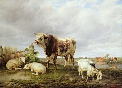 Karja niityllä tekijältä Thomas Sidney Cooper