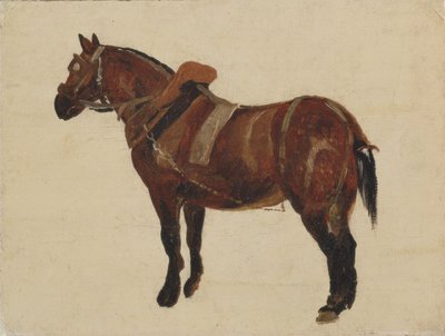 Tutkimus työhevosesta (öljy kankaalle) tekijältä Thomas Sidney Cooper