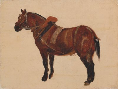 Työhevosen tutkimus tekijältä Thomas Sidney Cooper