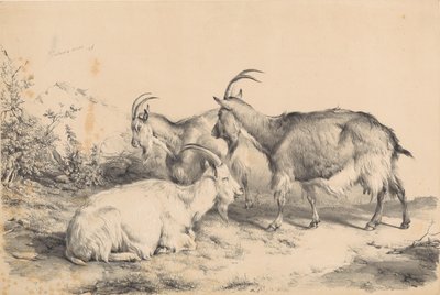 Kolme vuohta tekijältä Thomas Sidney Cooper