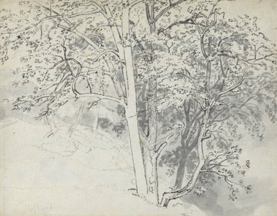 Puiden tutkimus tekijältä Thomas Stothard