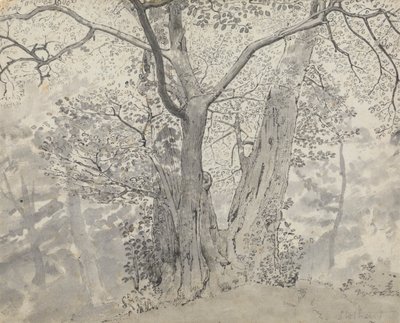 Puututkimus tekijältä Thomas Stothard