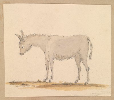 Aasitutkimus, noin 1820 (tussi, tussi, tussi, vesiväri). tekijältä Thomas Streatfeild