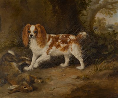 Spanieli ja kuollut jänis, n. 1822-74 (öljy kankaalle) tekijältä Thomas W. Bretland