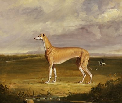 The Greyhound, n. 1830 (öljy kankaalle) tekijältä Thomas W. Bretland