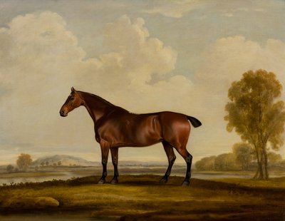 Georgiana: Hevonen, n. 1819 (öljy kankaalle) tekijältä Thomas Weaver