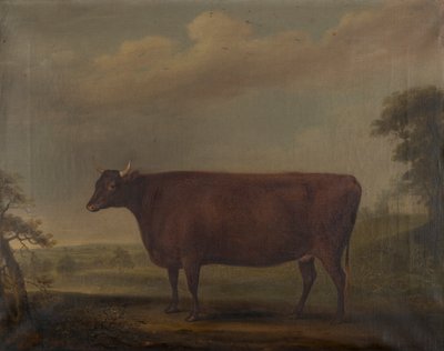 Punaiset devon-hiehot maisemassa, n. 1812 (öljy kankaalle) tekijältä Thomas Weaver