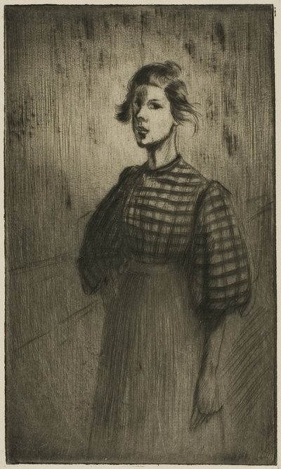 The Apprentice tekijältä Théophile Alexandre Pierre Steinlen