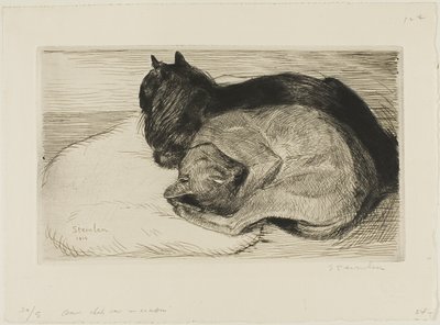 Kaksi kissaa tyynyllä tekijältä Théophile Alexandre Pierre Steinlen