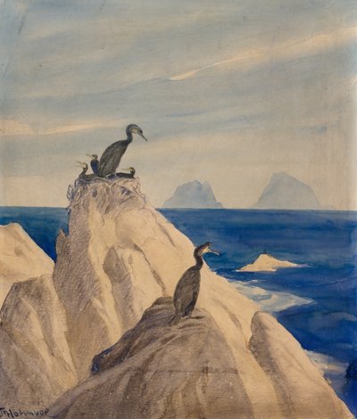 Northern Gannets (kynä ja akvarelli paperille) tekijältä Thorolf Holmboe
