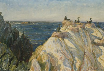 Merilintu tekijältä Thorolf Holmboe