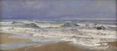 Harmaa sääpäivä Pohjanmerellä surffailla tekijältä Thorvald Niss