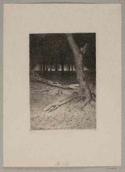 Metsän sisustus. Ilta tekijältä Thorvald Niss