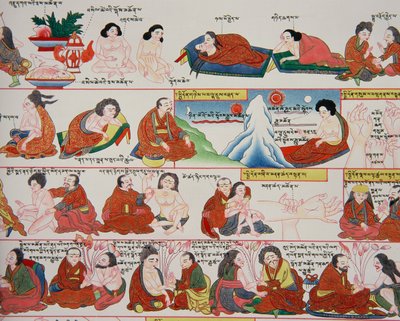 Tiibetin lääketieteen käsikirjoitus (yksityiskohta numerosta 389729) tekijältä Tibetan School