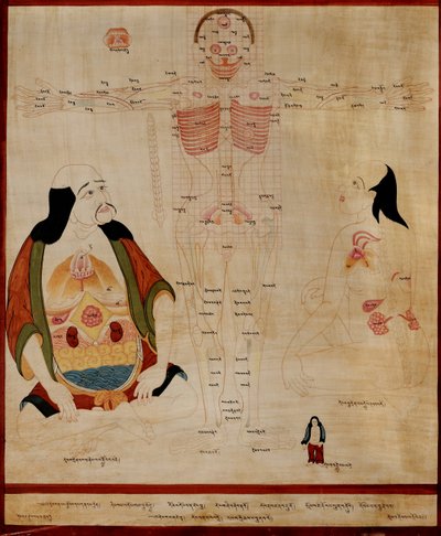 Käsikirjoitus, jossa näkyy meridiaanipisteet; tekijältä Tibetan School