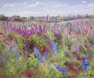 Delphiniumin kenttä ja kirkko tekijältä Timothy Easton