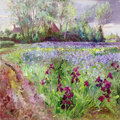 Iris Field, Storm Gathering tekijältä Timothy Easton