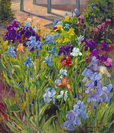Iiriset ja kesämökin varjot, 1996 tekijältä Timothy Easton