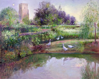 Auringonlaskun heijastuksia tekijältä Timothy Easton