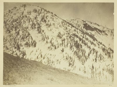 Snow Peaks, Bull Runin kaivospiiri, Nevada tekijältä Timothy O