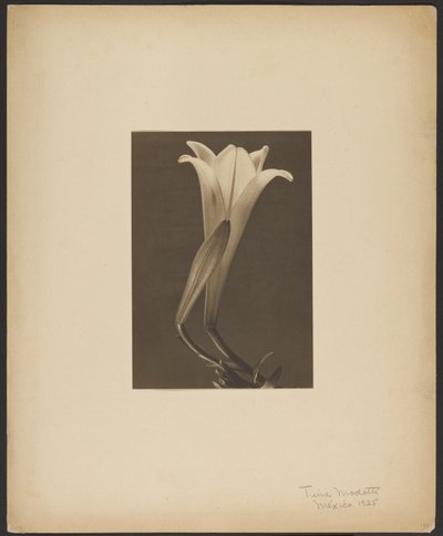 Nro 1. tekijältä Tina Modotti