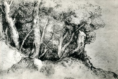 Metsämaisema, c1516-1518, 1937 tekijältä Tiziano Vecelli