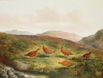 Grouse Moorland maisemassa tekijältä Tom Hold