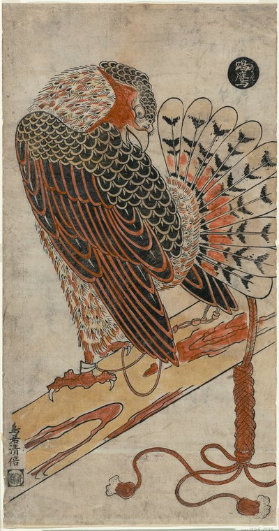 Varpushaukka (Konori Taka) tekijältä Torii Kiyomasu I