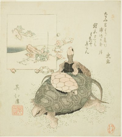 Sea turtles and Urashima Taro tekijältä Totoya Hokkei