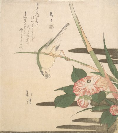 Warbler ja Camellia, n. 1815-20. tekijältä Totoya Hokkei
