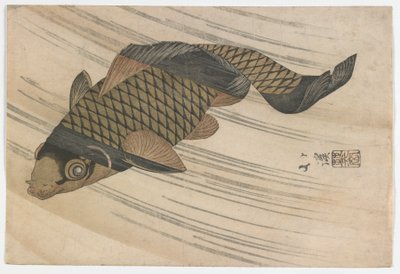 Karppiuinti ylävirtaan, Edo-kausi, 1820-luvun puoliväli (värillinen puupainatus) tekijältä Toyota Hokkei
