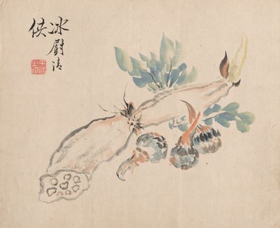 Lotus Root ja Adder
