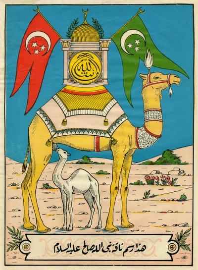 Salehin kameli, suura 7, jae 71: (...) tämä Jumalan kameli on sinulle merkki (...). Suosittuja kuvia, Tunisia tekijältä Tunisian School
